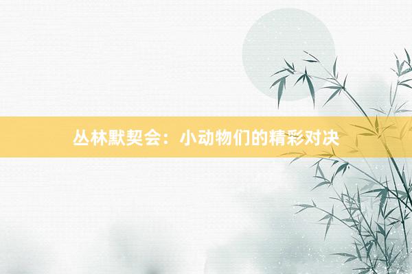 丛林默契会：小动物们的精彩对决